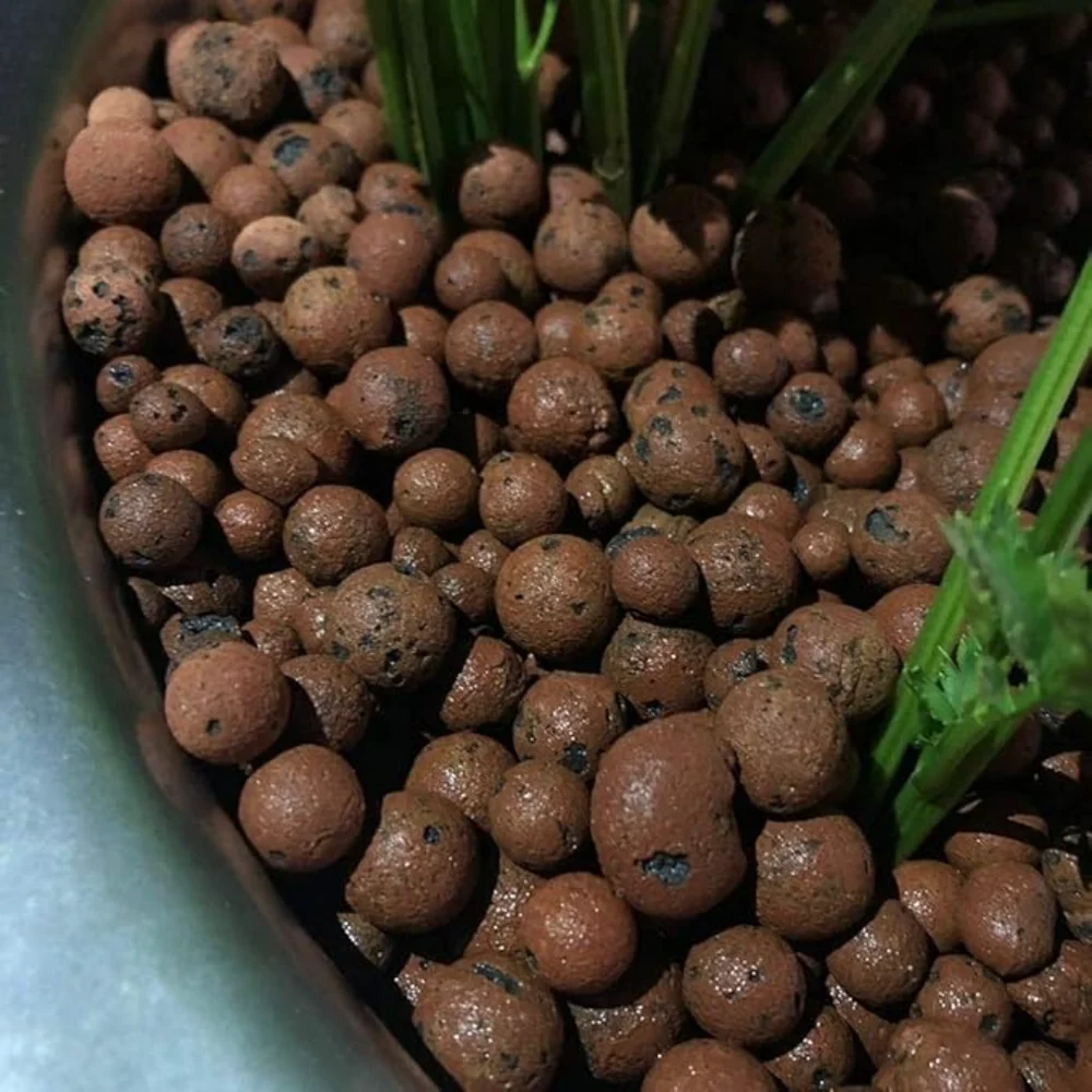 LECA Balls - Premium Nursery Supply